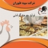 اصول پرورش مرغ گوشتی یک روزه طیور در تهران اصول پرورش مرغ گوشتی یک