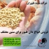 فروش انواع دان مرغ فروش انواع طیور در تهران فروش انواع دان مرغ فروش