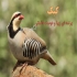 برگزار کننده دوره ی آموزش کشاورزی و منابع طبیعی در کرج موسسه ی کار گستر