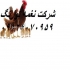 فروش نیمچه مرغ تخم گذار محلی مرغ واکسینه شده در تهران فروش نیمچه مرغ