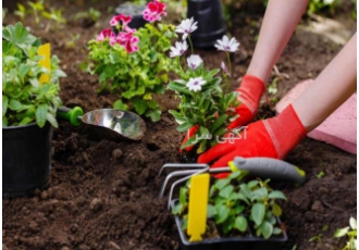 طراحی فضای سبز و خدمات باغبانی