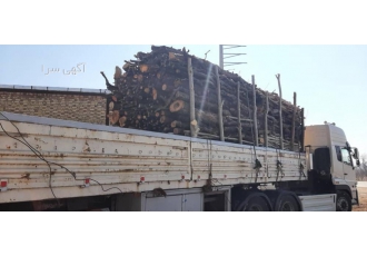 خرید و فروش چوب انواع چوب شما را به بالاترین قیمت به نرخ روز بصورت نقد