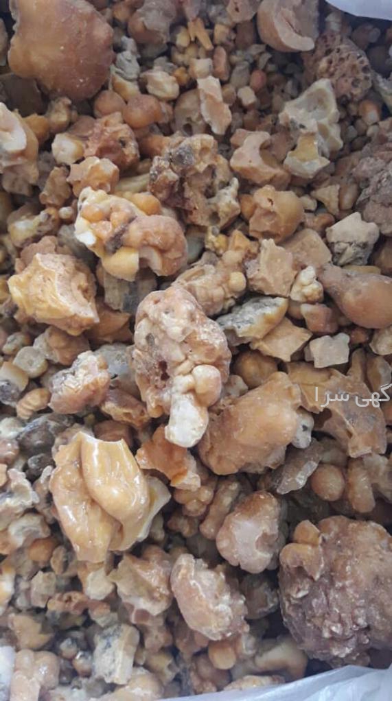 آگهی های بازاریابی - فارس