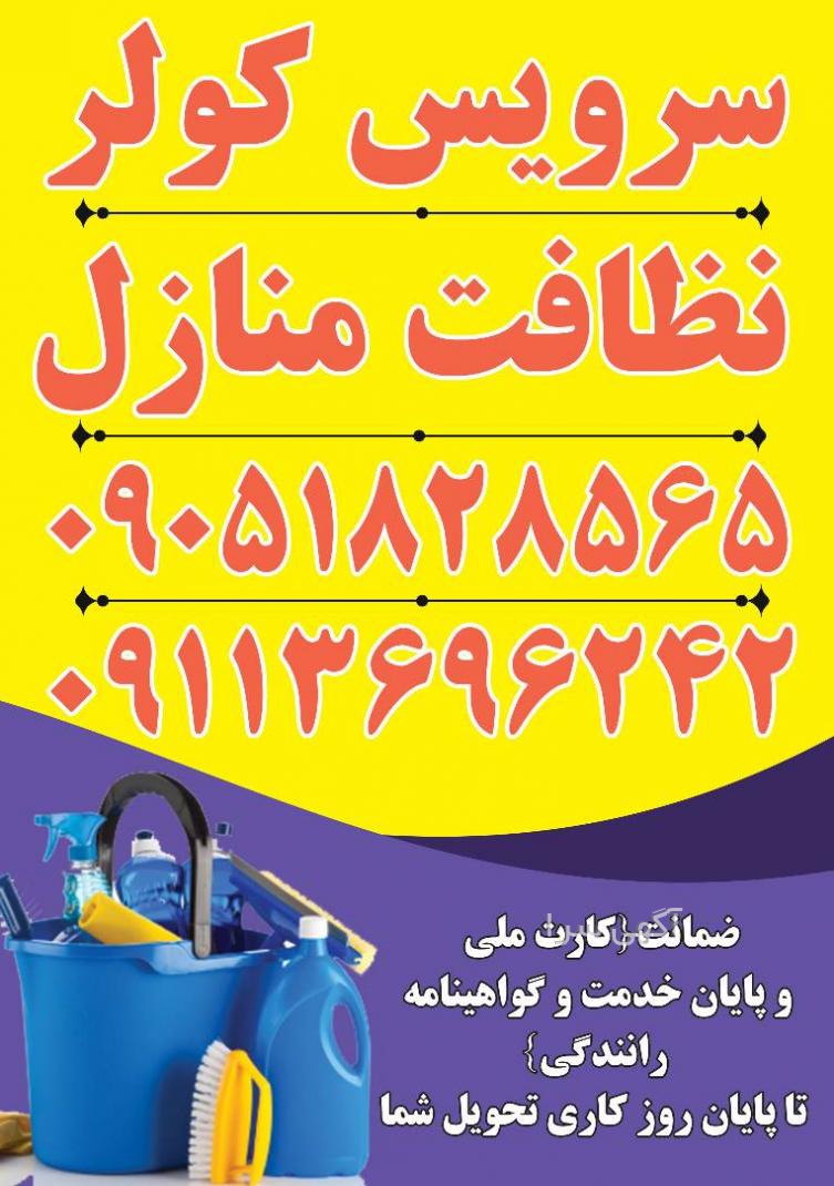 راننده شخصی