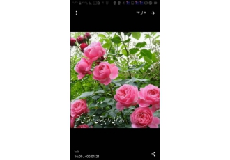 اجرای انواع پروژه فضای سبز مسکونی اداری ورزشی اجرای انواع پروژه فضای