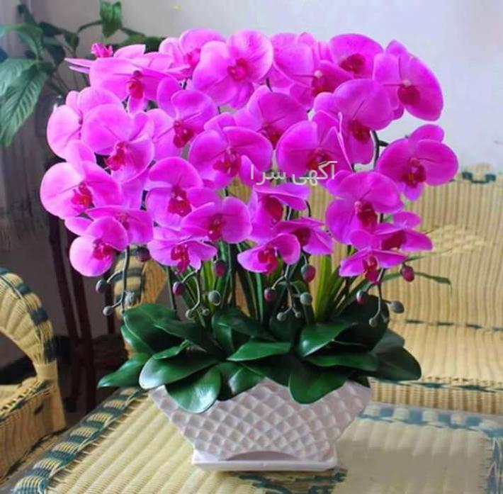 آگهی های انجام پیمانکاری - بوشهر