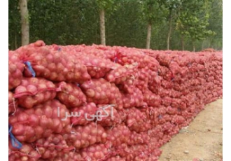 کیسه توری بسته بندی راشل انواع میوه در تهران فروش توری راشل مقاومت