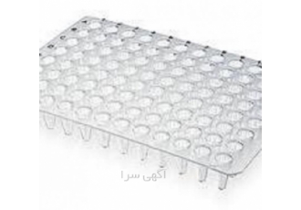 PCR 96 well پلیت