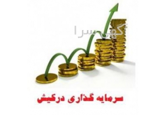 سرمایه گذاری نو در کیش چند پیشنهاد ویژه جهت سرمایه گذاری در کیش