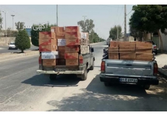 نیسان و وانت ، مزدا و آریسان ، حمل سراسری