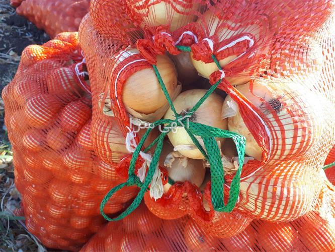 آگهی های بسته بندی - تهران