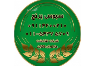 خوراک طیور