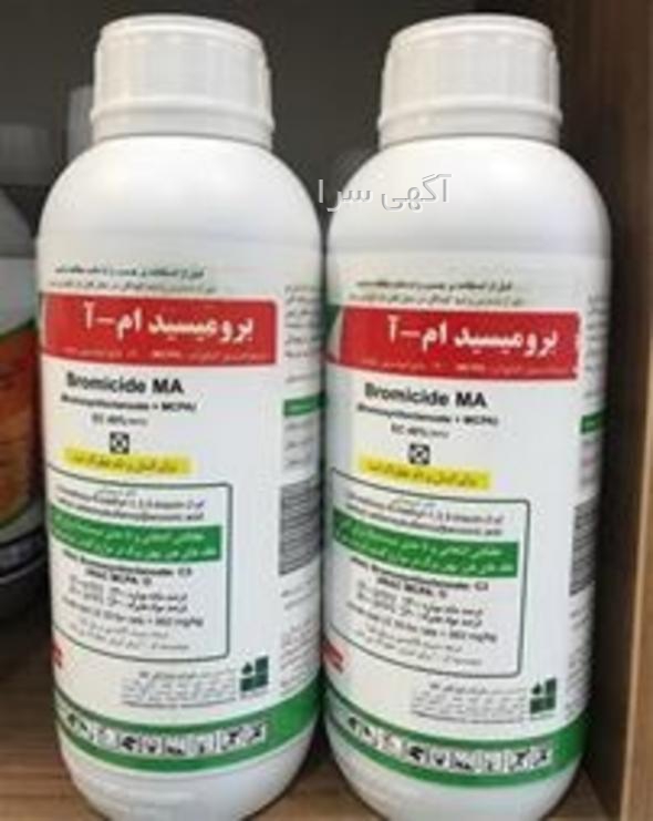 آگهی های بازاریابی - کردستان