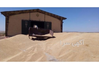 فروش جو دامی با سلام جو دامی در محدوده ی ایوانکی موجود است