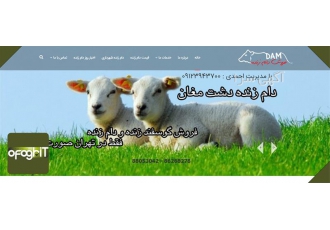 طراحی سایت گوسفند زنده در تهران برای طراحی وب سایت گوسفند زنده با ما