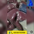 خرید بالشت های باکیفیت و ارزان از تولیدی پلار در تهران مجموعه پلار