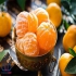 قیمت دستگاه خشک کن نارنگی در رشت قیمت دستگاه خشک کن نارنگی شرکت زاگرس