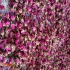 قیمت دستگاه های صنعتی خشک کن گل محمدی در آران و بیدگل گروه صنعتی زاگرس
