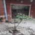اجاره خانه ویلایی دربستی برای انبار سکونت و دفتر کار در تهران خانه