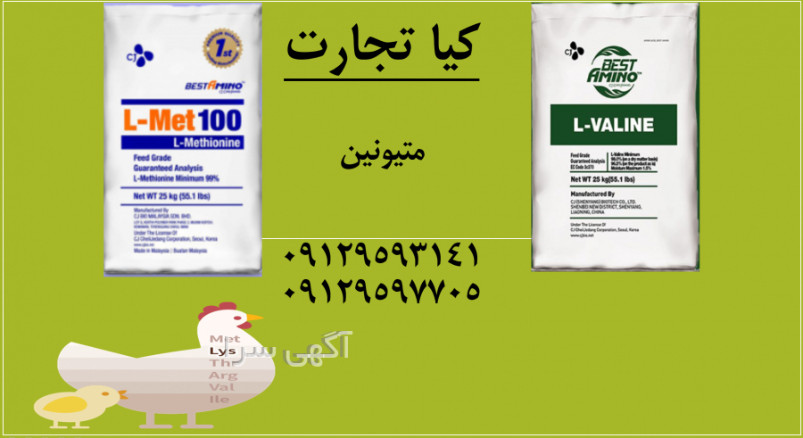 فروش دام در شیراز
