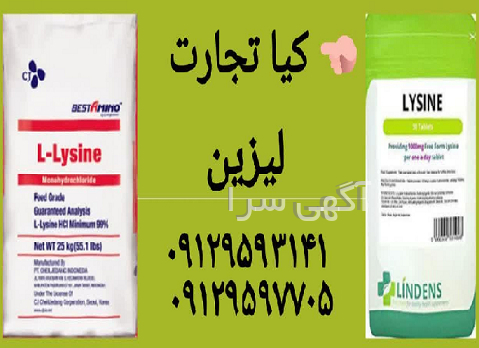 فروش دام گاو