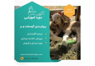 برگزاری دوره آموزش پرواربندی گوسفند و بز در تهران یکی از کار های پرسود