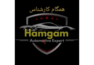کارشناسی تخصصی (رنگ،بدنه،فنی)خودرو و موتورسیکلت در محل