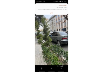زانتیامدل۸۸زیتونی ۴۵۰ملیون