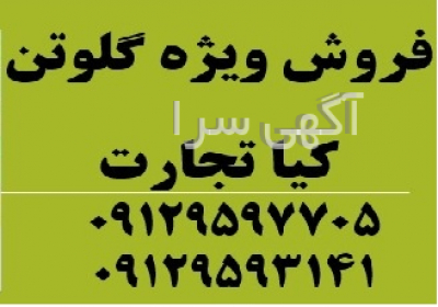 فروش ویژه گلوتن ذرت فروش ویژه گلوتن ذرت