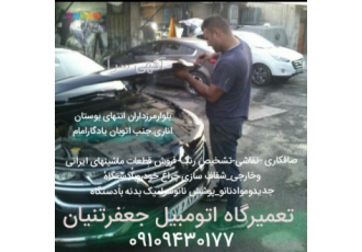 تشخیص رنگ اتومبیل تنیان