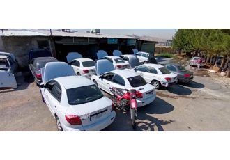 تعمیرگاه تخصصی ریو (فلاح)