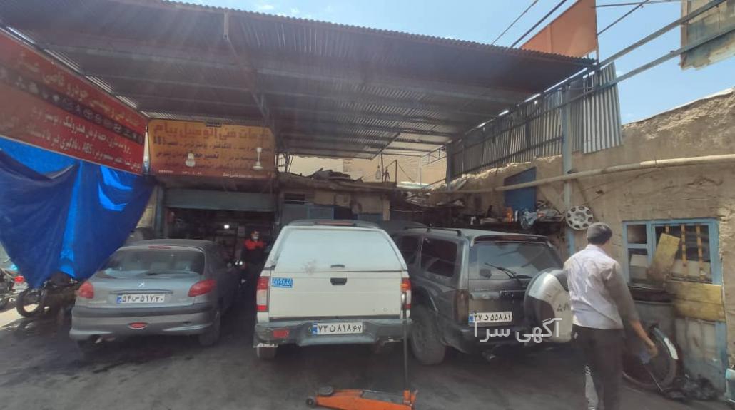 قیمت سر پلوس تیبا
