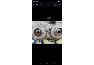 کامپیوتر گیربکس رنو کپچر Tsuگیربوکس رنو کپچر اصل فرانسه با نازلترین