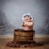 فروش لباس و بافت آتلیه کودک در تهران فروش quot دکور آتلیه کودک quot