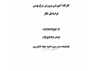 کارگاه آموزشی پرورش مرغ بومی