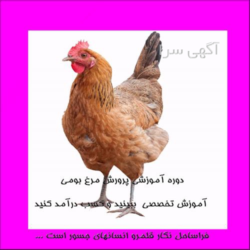 خدمات حمایتی کشاورزی