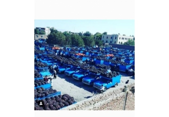 باربری و حمل و نقل ، وانت و نیسان