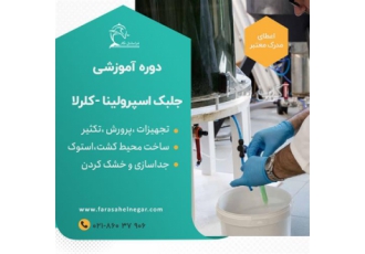 دوره سیر تا پیاز تولید جلبک های غذایی در تهران میکرو جلبک ها همه کاره
