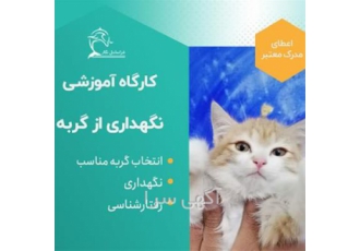 کارگاه سه روزه آموزش نگهداری و پرورش حیوانات خانگی در تهران به دنبال