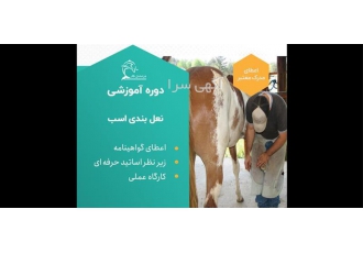 دوره آموزشی نعل بندی حرفه ای