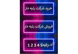 ارائه دهنده خدمات ثبت و رتبه بندی شرکت در تهران ثبت امیری ارائه دهنده ی