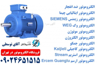 فروشگاه الکتروموتور در تهران