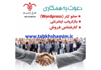 کارمند سئوکار شرکت معتبر فعال در زمینه فروش اینترنتی و بازاریابی