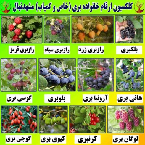 آگهی های کشاورزی