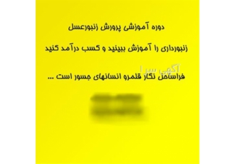 دوره آموزشی پرورش زنبور عسل موسسه فراساحل نگار در تهران آیا به دنبال