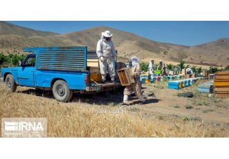 حمل و نقل و جابجایی لوازم و تجهیزات زنبورداری با نیسان باربری در قزوین