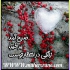 خرید و فروش انواع جرثقیل سقفی و بازویی در کرمان خرید و فروش انواع