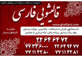 قالیشویی در محدوده مطهری