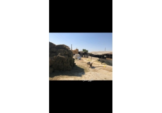 فروش گاوداری هشتگرد