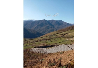 فروش زمین (شهرکی) ✅فروش زمین در قطعات 300 متری و بالا تر ✅با امکانات